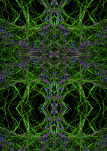 Load image into Gallery viewer, Psykhe