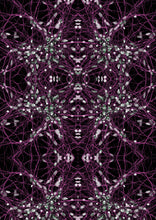 Load image into Gallery viewer, Ocularium