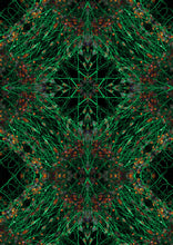 Load image into Gallery viewer, Spectranimae