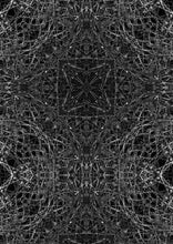 Load image into Gallery viewer, Reticulasymmetria