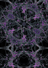 Load image into Gallery viewer, Sisyphusomnium