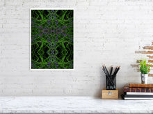 Load image into Gallery viewer, 3417955-796521